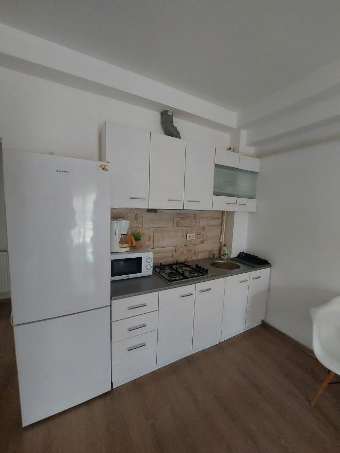 Jolie Art Apartment Braila Exterior photo